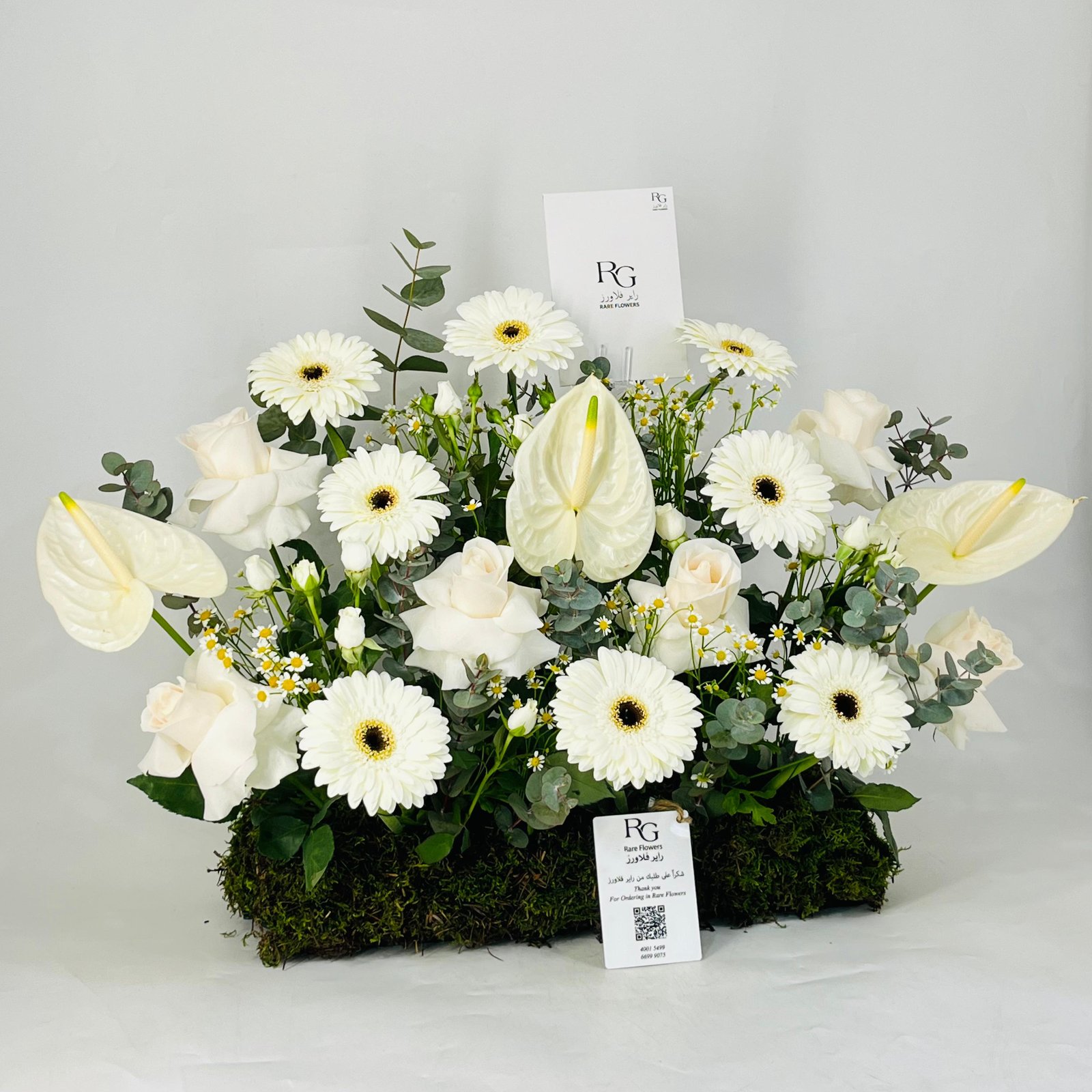12076 - Image 2