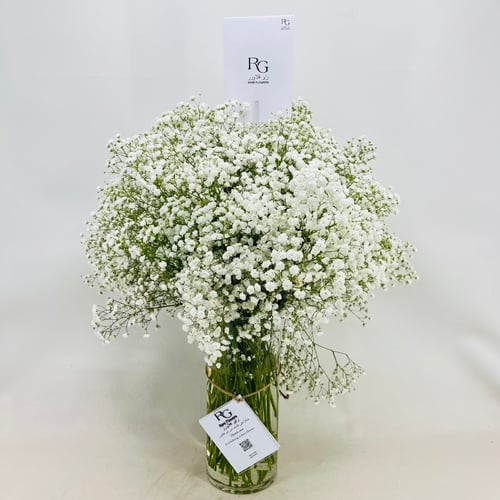 2610 - Image 1
