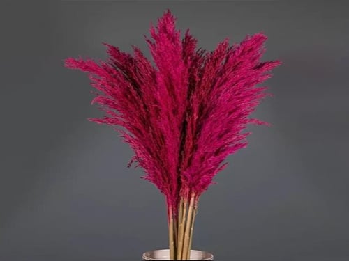 4321 - صورة 1