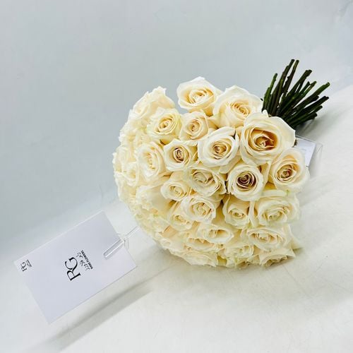 6393 - صورة 2