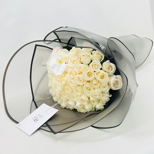 1140 - صورة 2