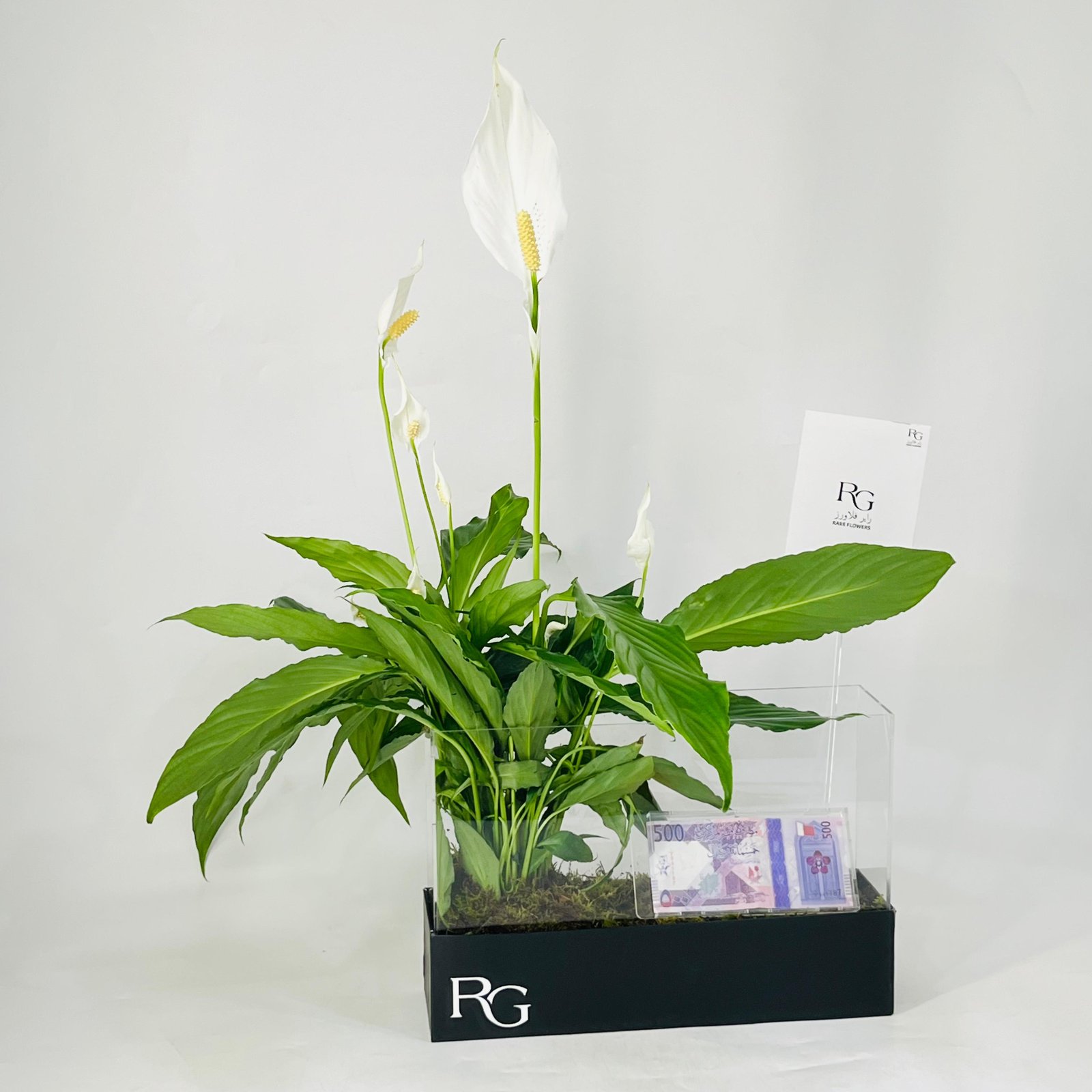 12033 - Image 2