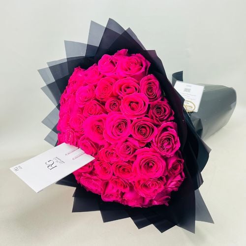 6675 - صورة 2