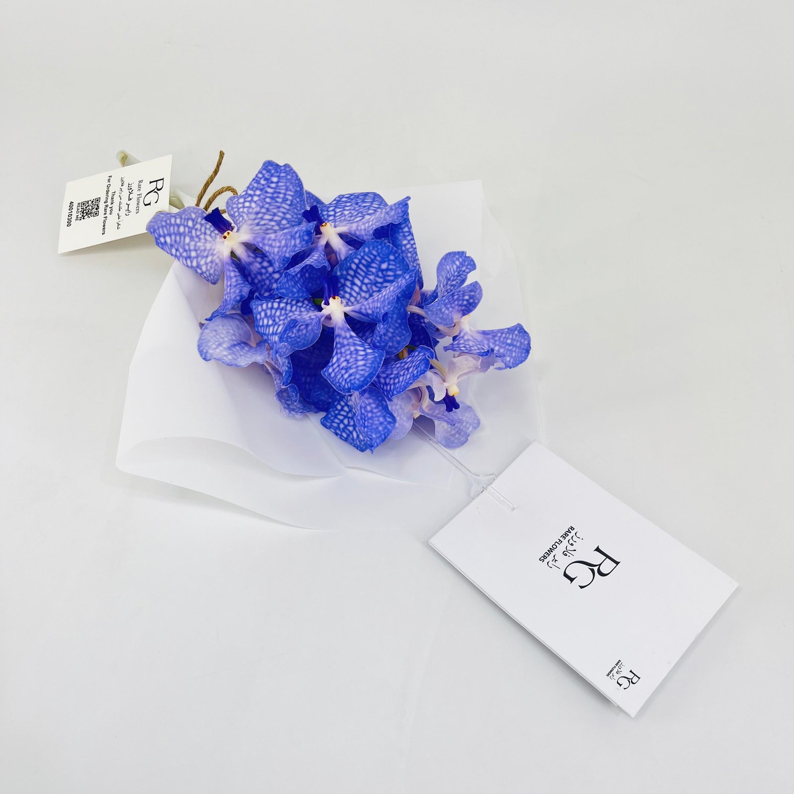 14231 - صورة 2