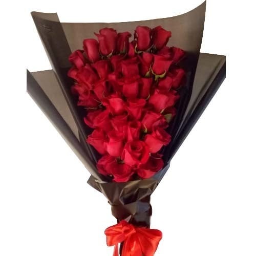 509 - صورة 1