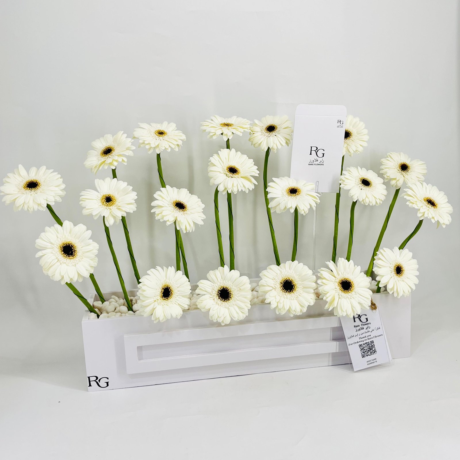 10670 - صورة 2