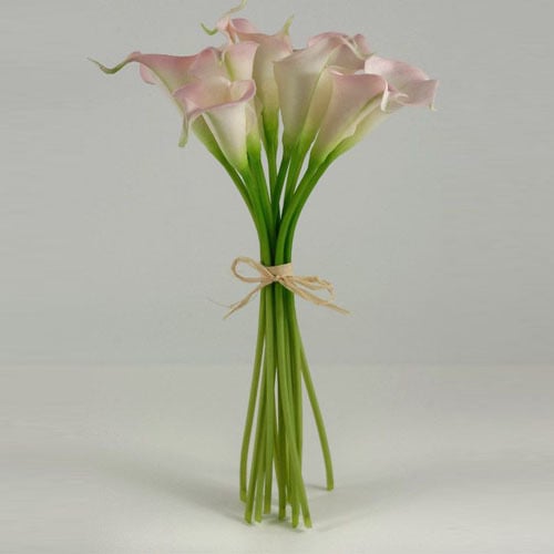 2588 - صورة 1