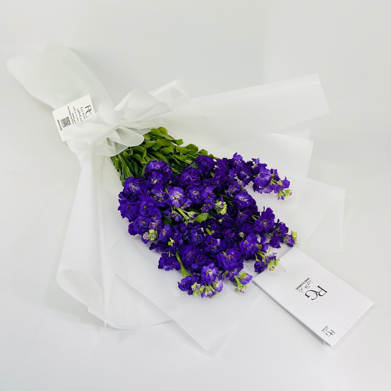 14237 - Image 2
