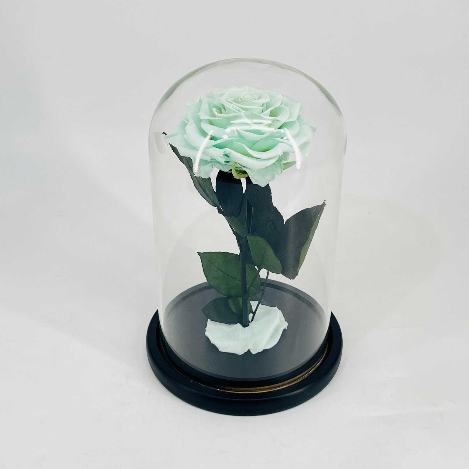11277 - Image 1