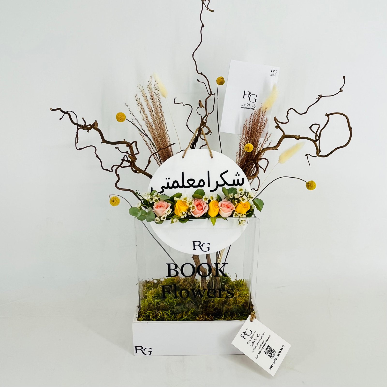 13951 - Image 3