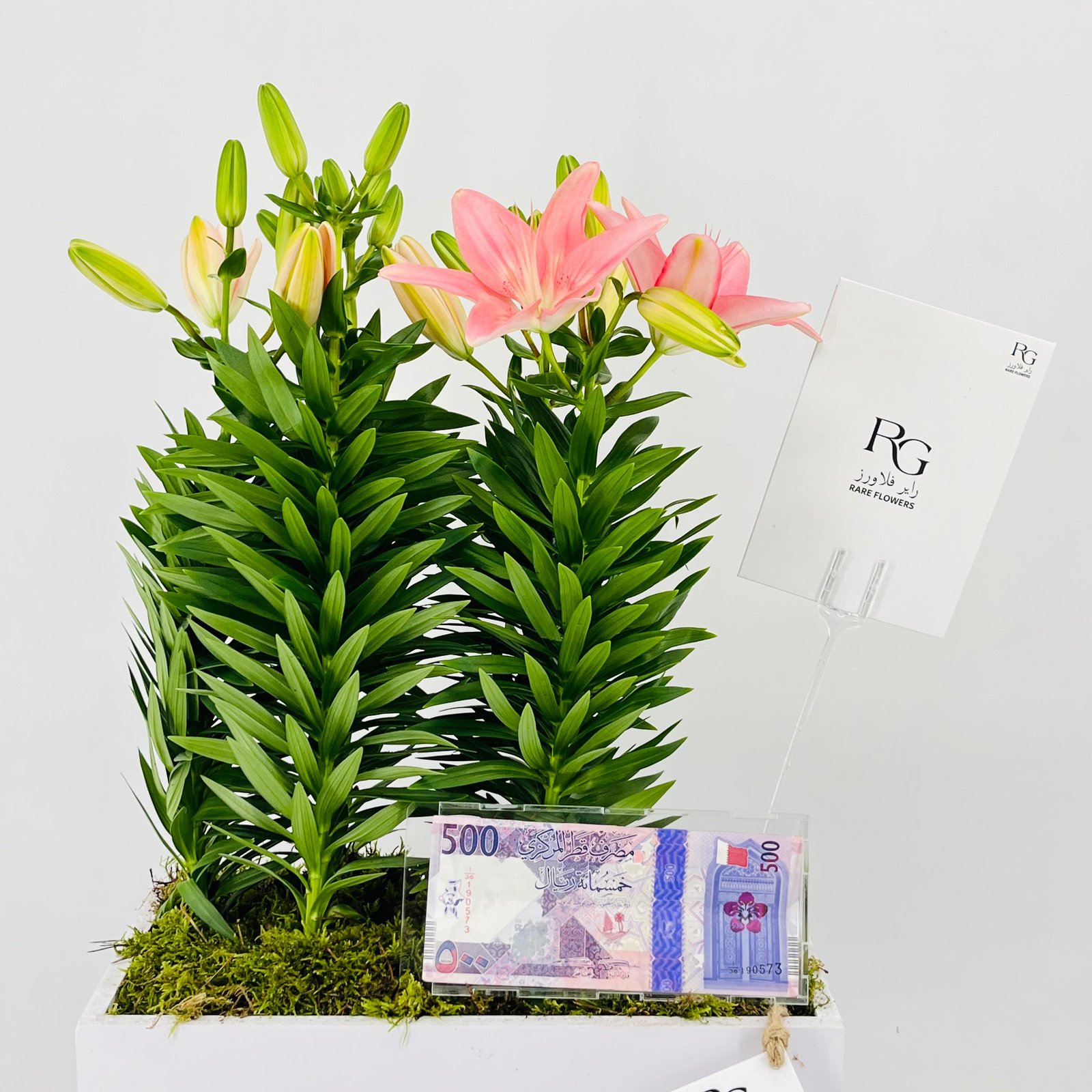 12801 - Image 3