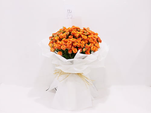 0076 - صورة 3