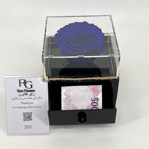 3744 - Image 3