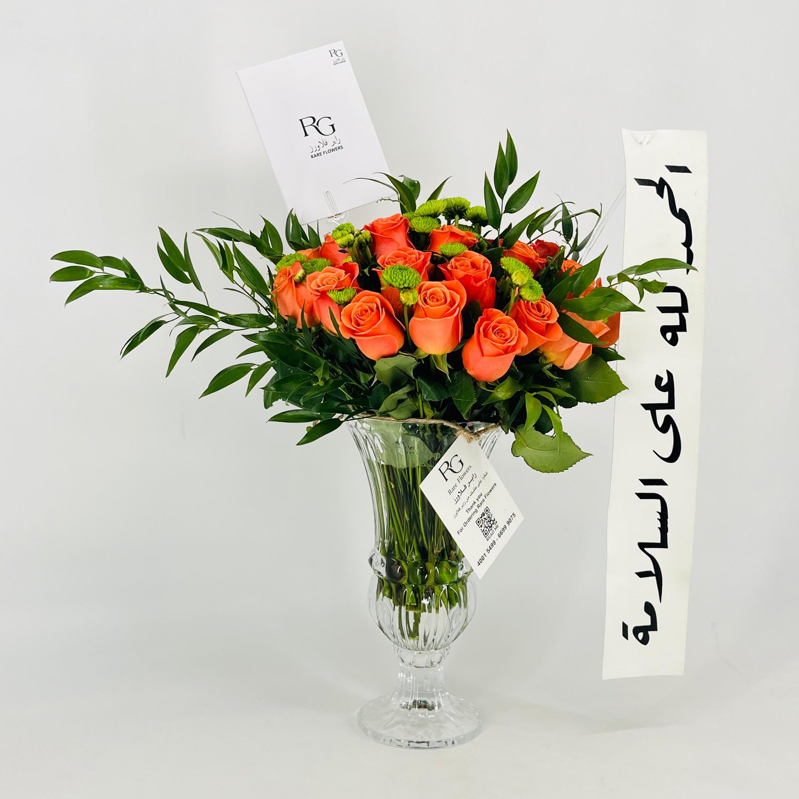 13534 - Image 1