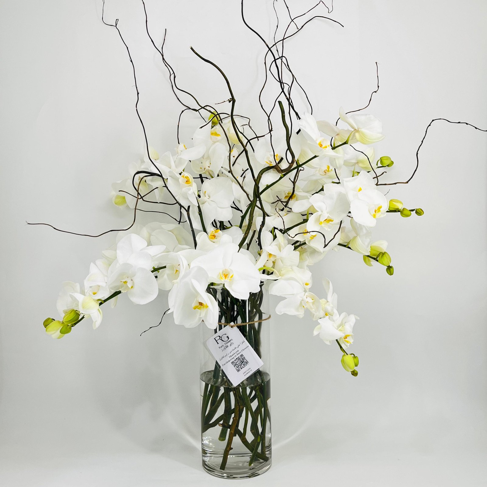 10470 - Image 1