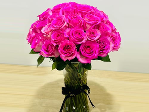 4249 - صورة 1