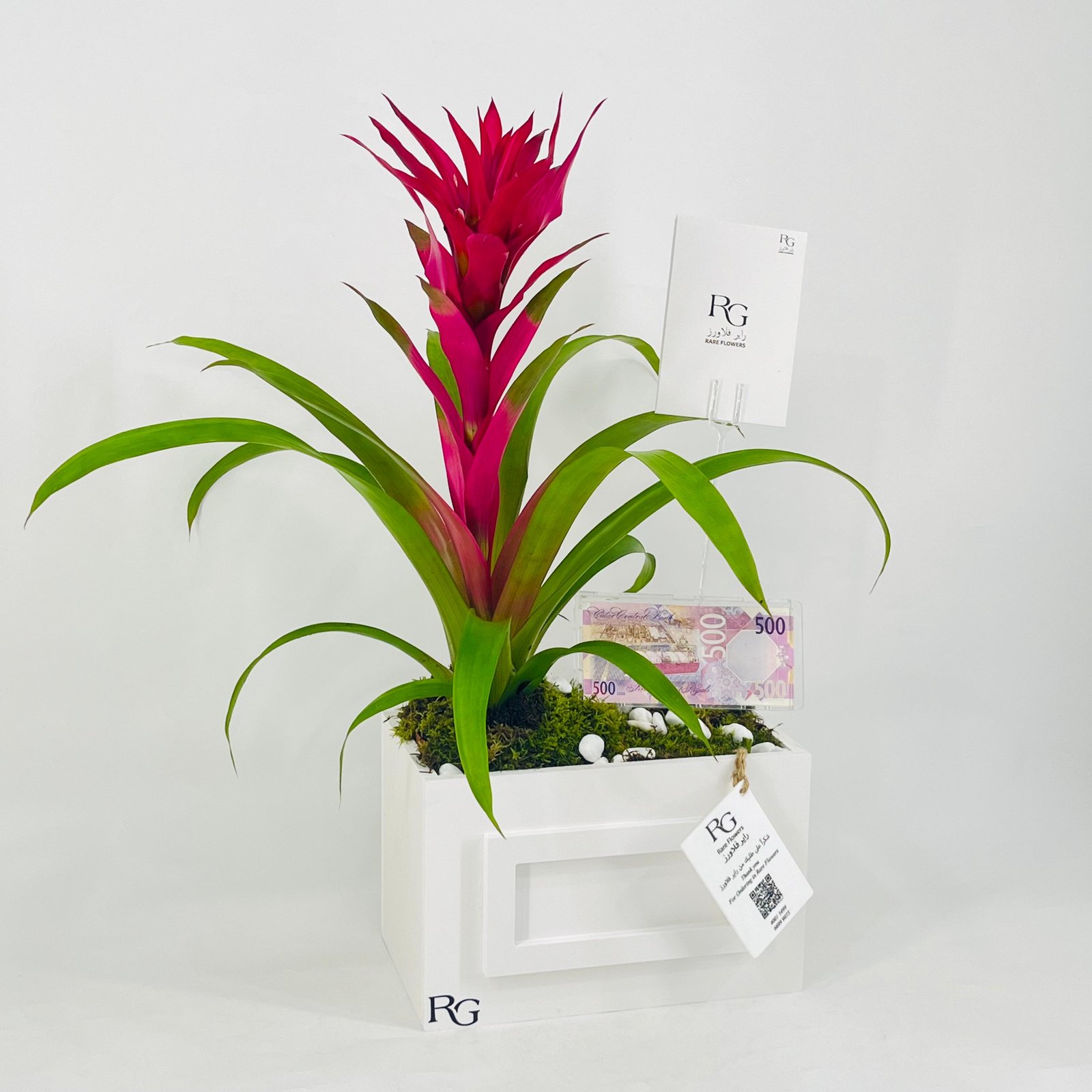 12432 - Image 4