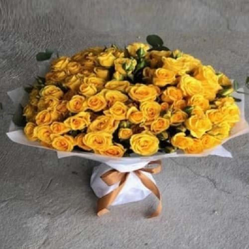 0004 - صورة 1