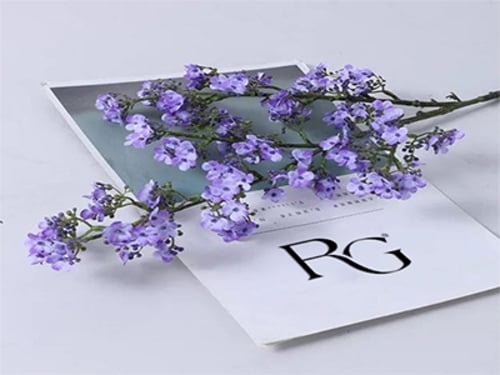 4296 - صورة 1