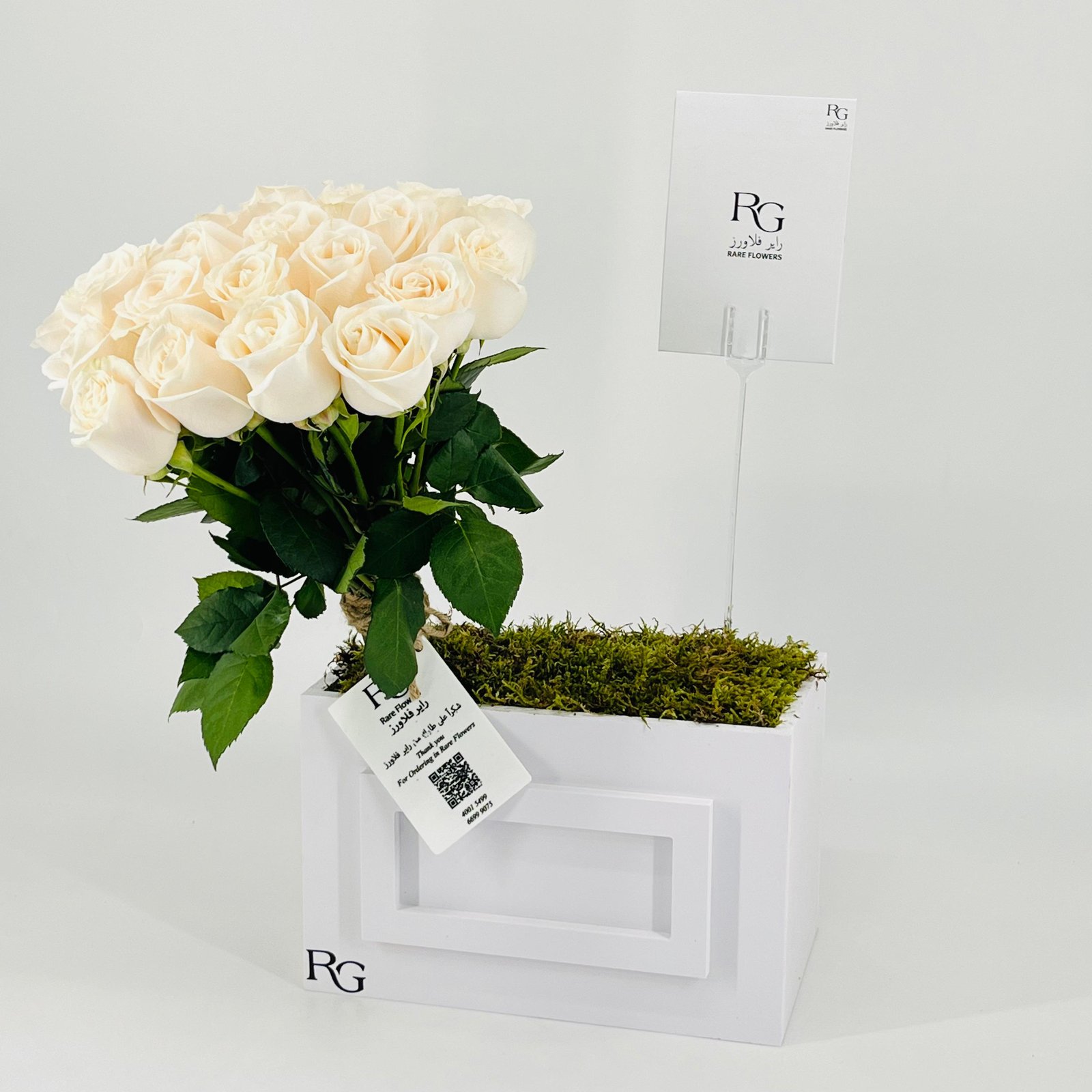 12857 - Image 2
