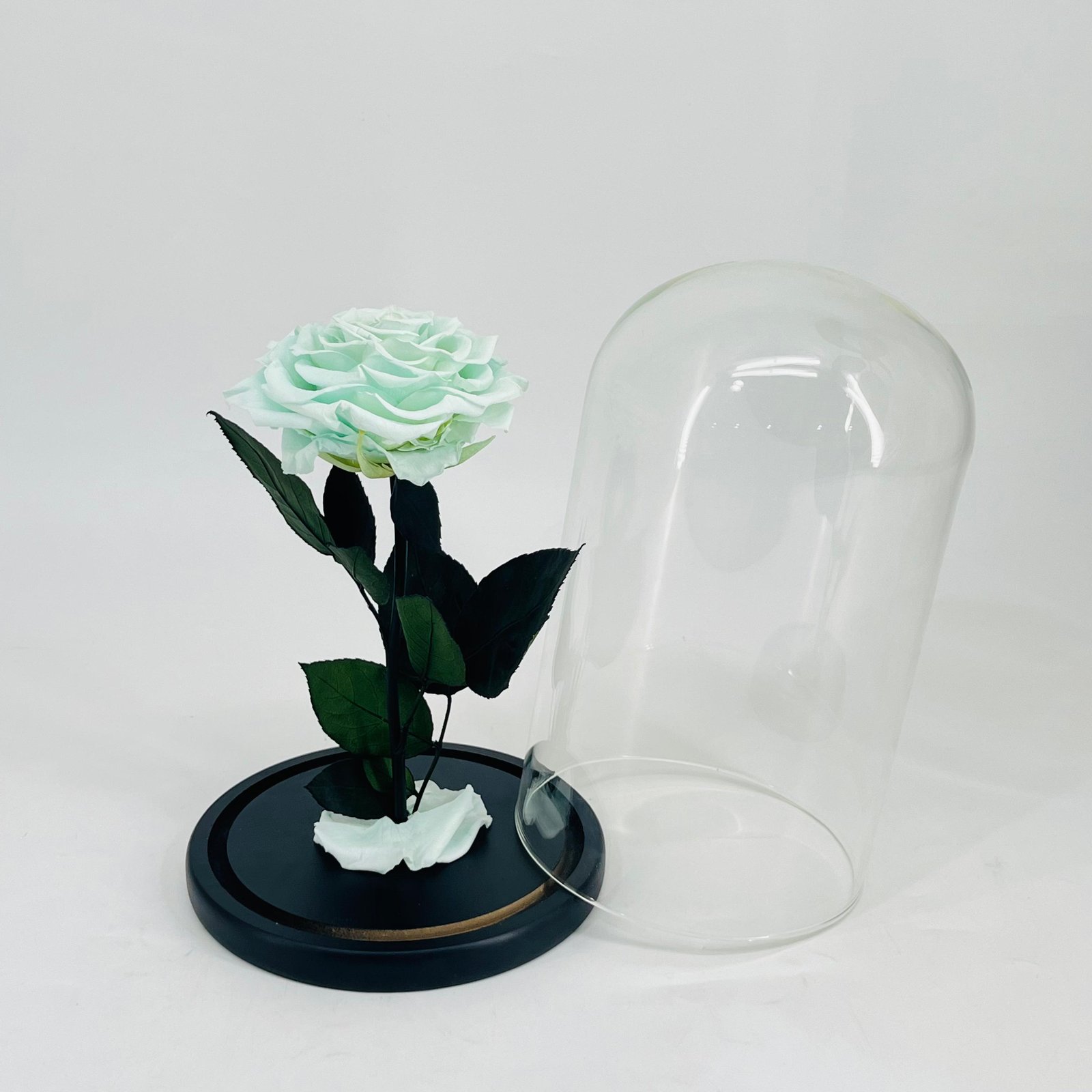 11277 - Image 2