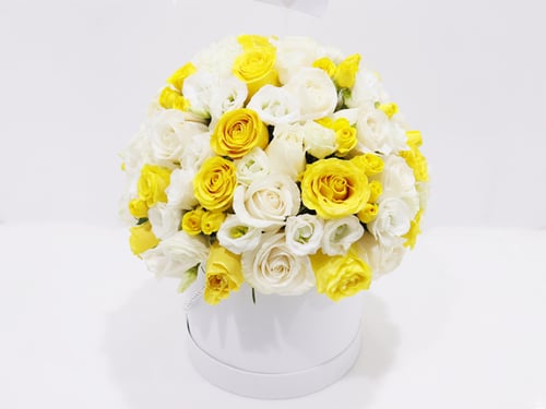 3267 - صورة 2