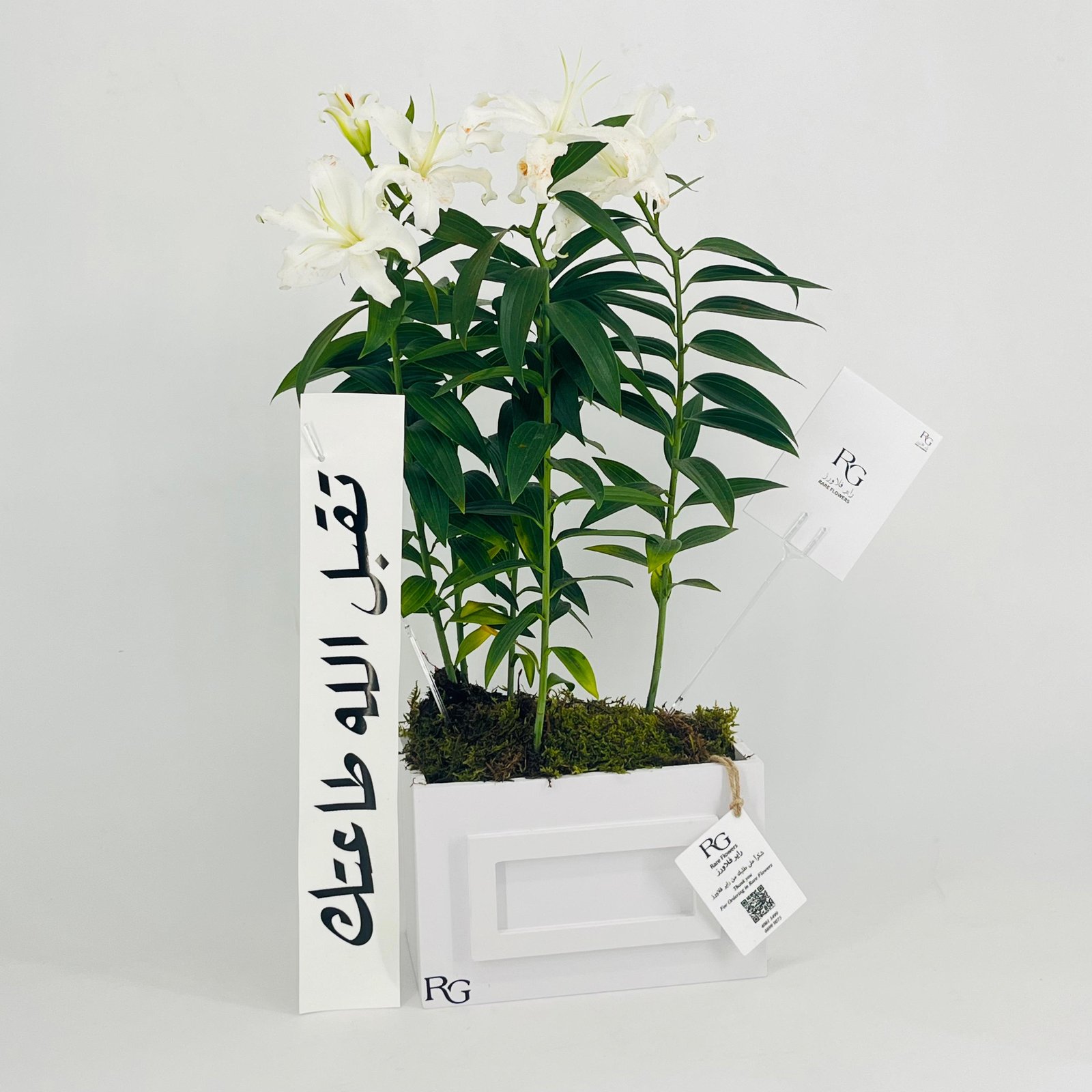 12789 - Image 4