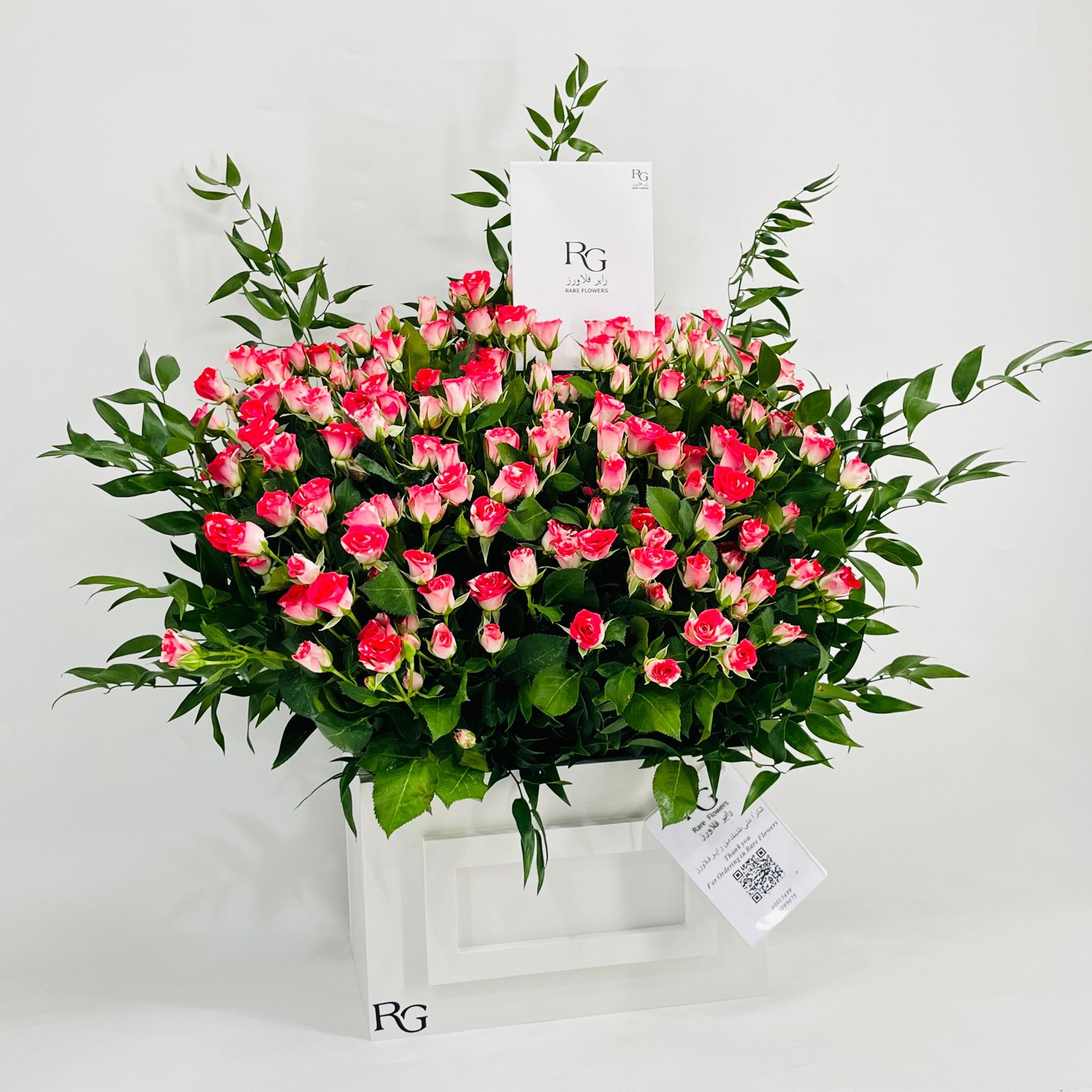 10558 - صورة 2