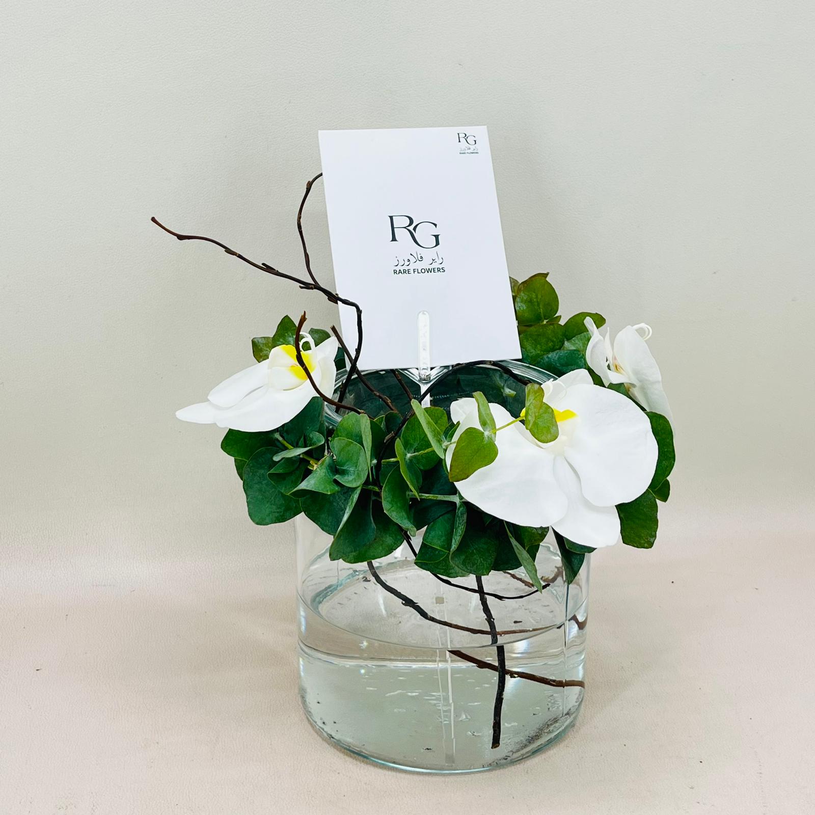 8196 - Image 3