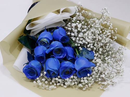 1477 - صورة 2