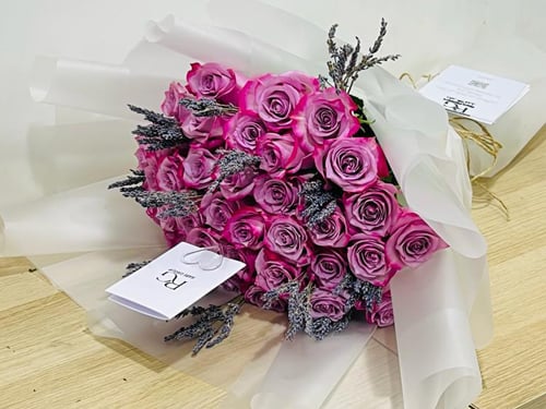 528 - صورة 2
