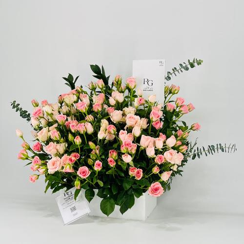 8558 - صورة 3