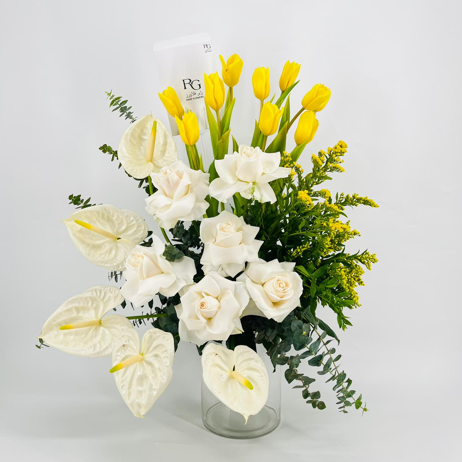 9135 - صورة 1