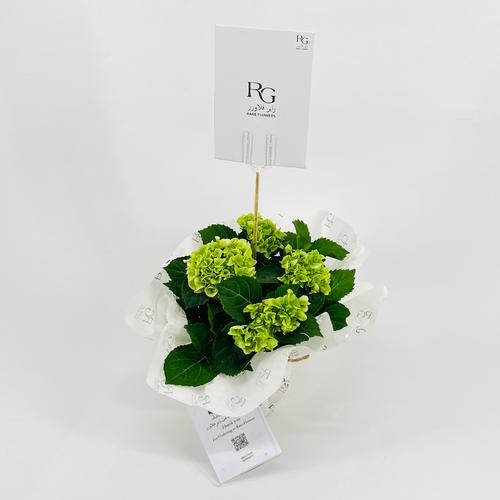 Hydrangea 5 flowers No.9560 - Image 3