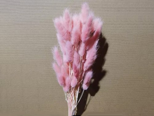4322 - Image 1
