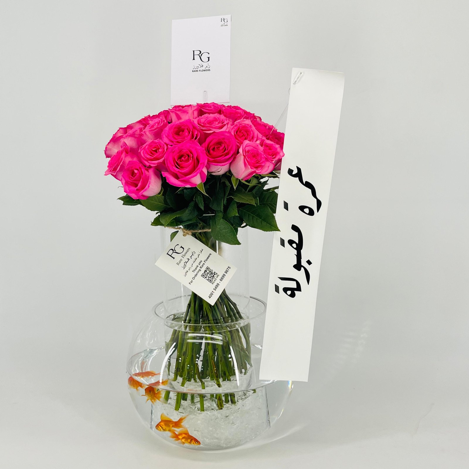 13575 - صورة 3