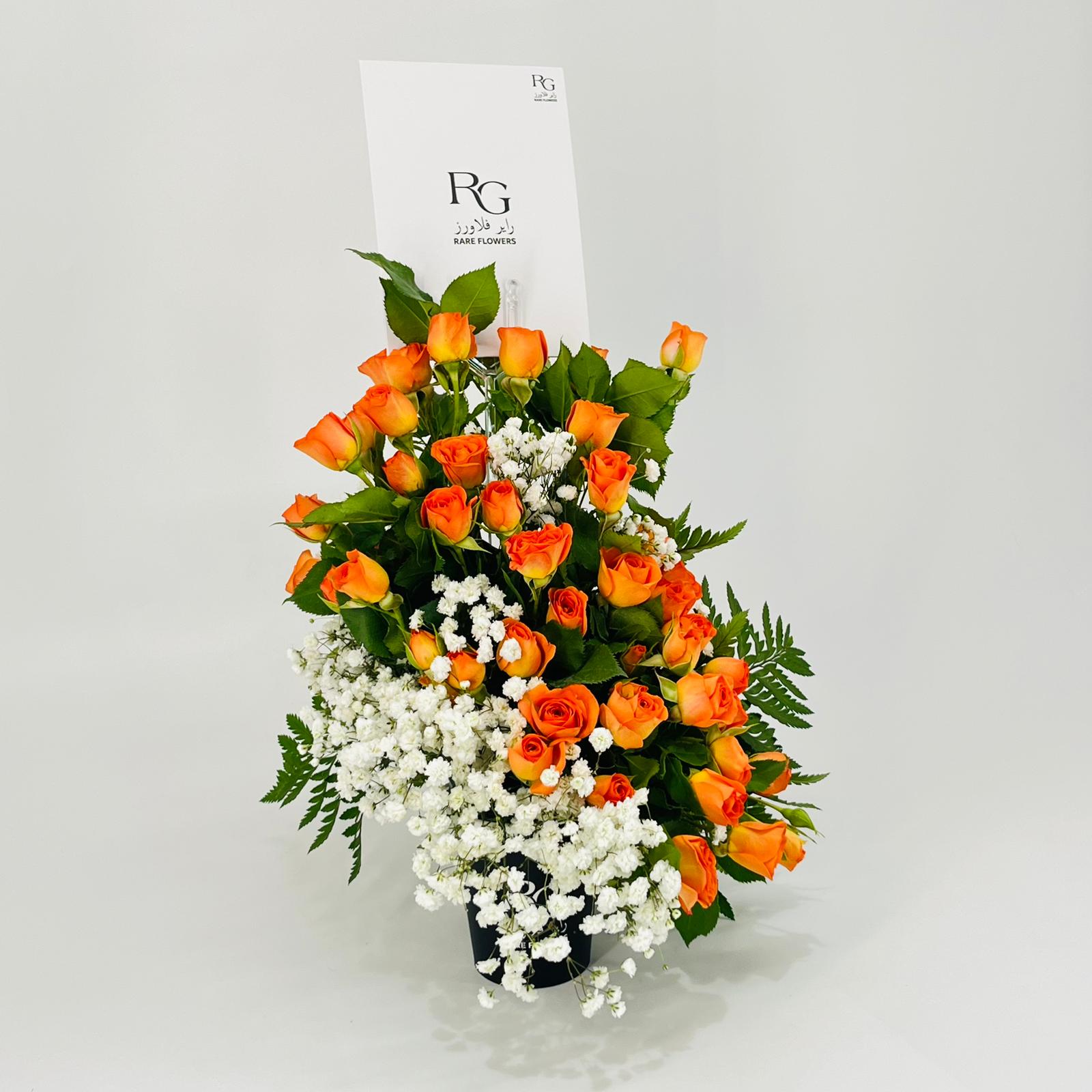 8426 - صورة 3