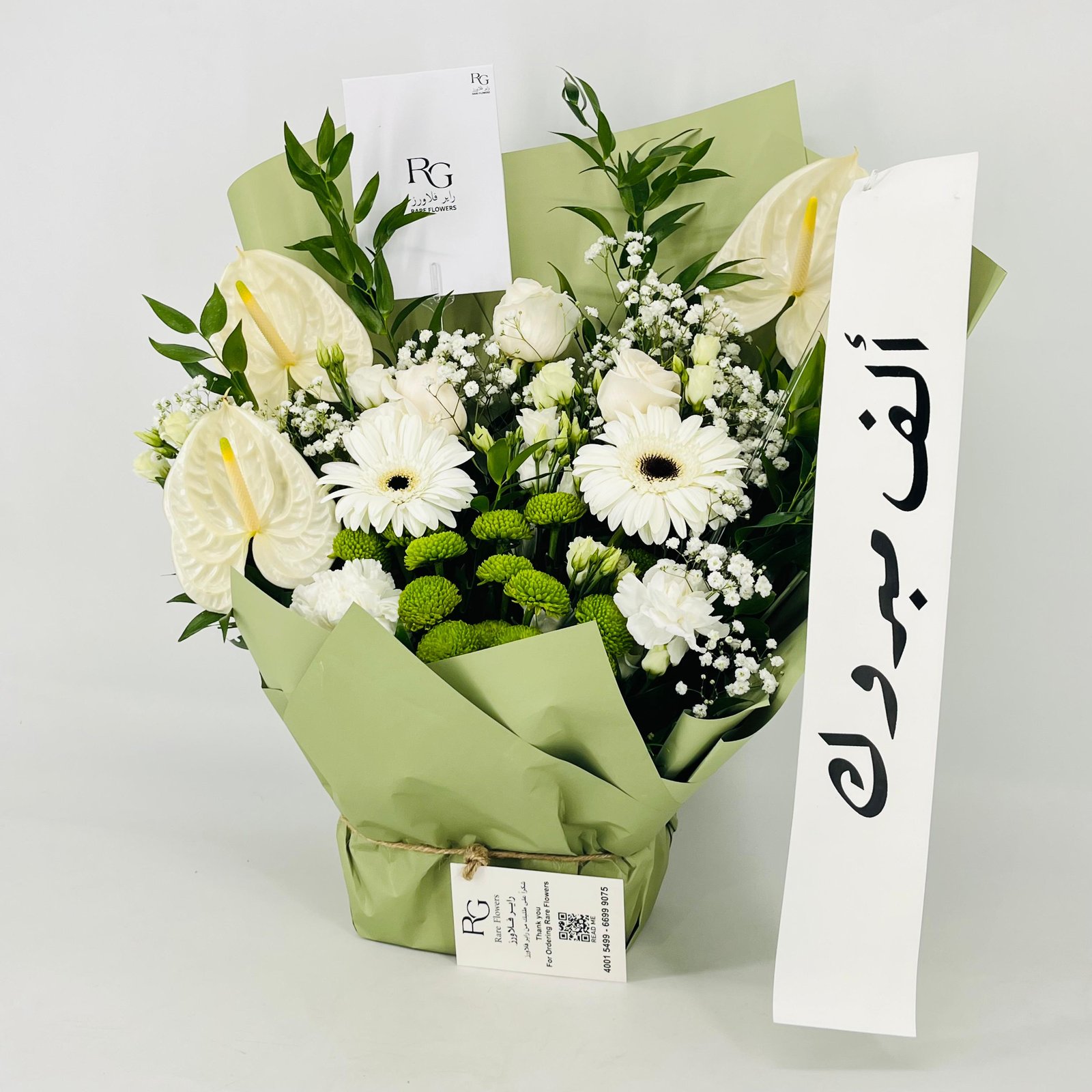 13524 - Image 3