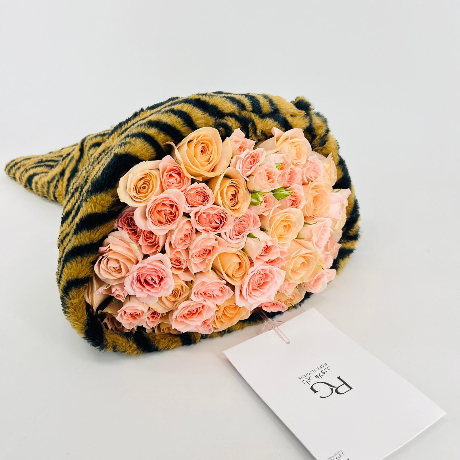 14593 - صورة 3