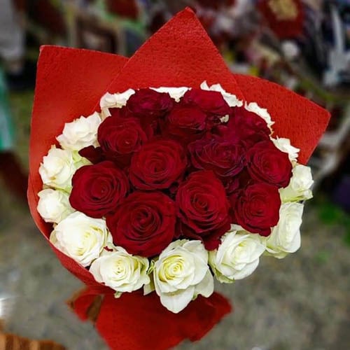 1027 - صورة 1