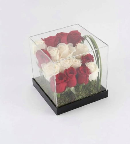 1044 - صورة 1