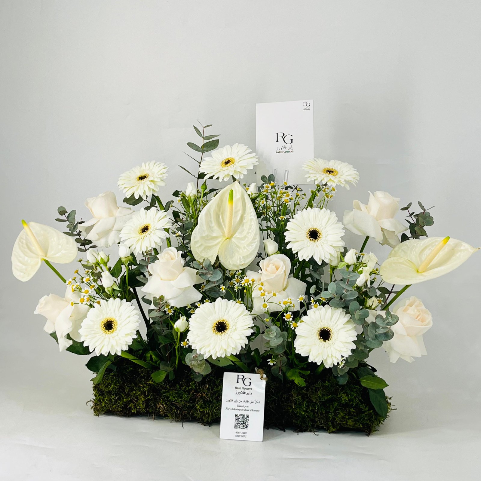 12076 - Image 3