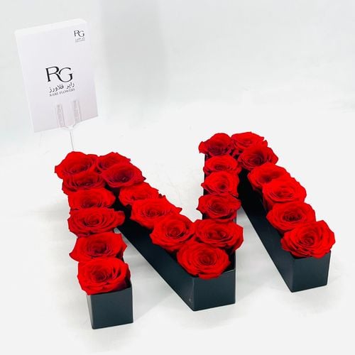 3938 - صورة 3