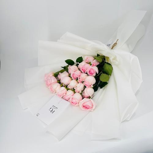 8424 - صورة 2