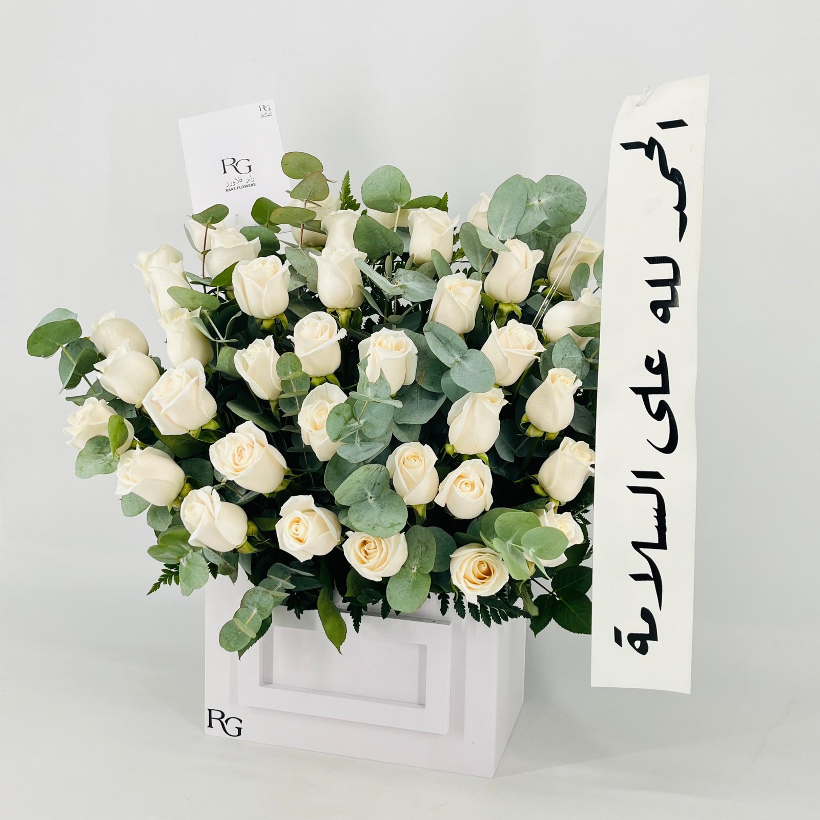 13542 - صورة 4