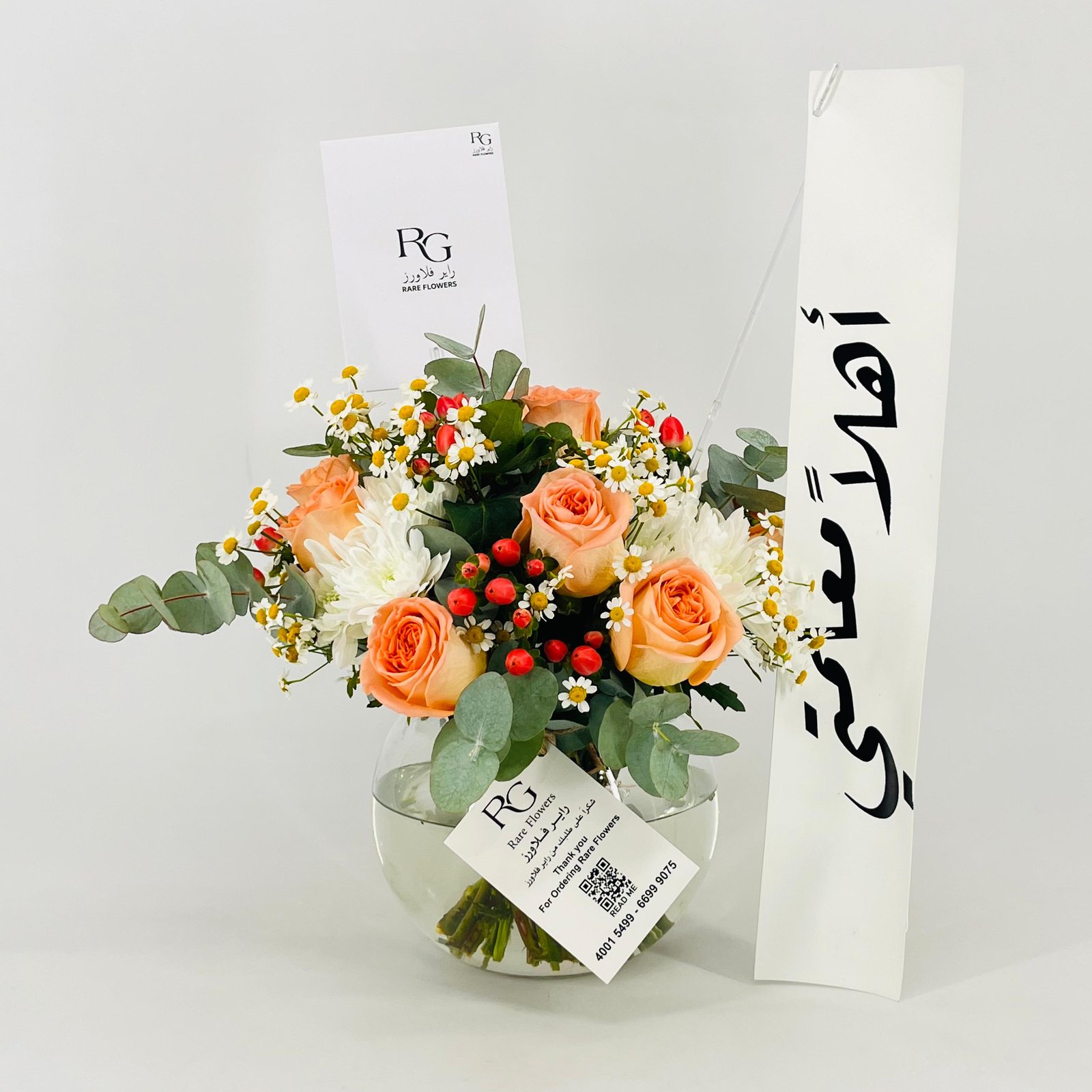 13572 - Image 1