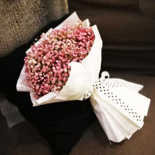 092 - صورة 1