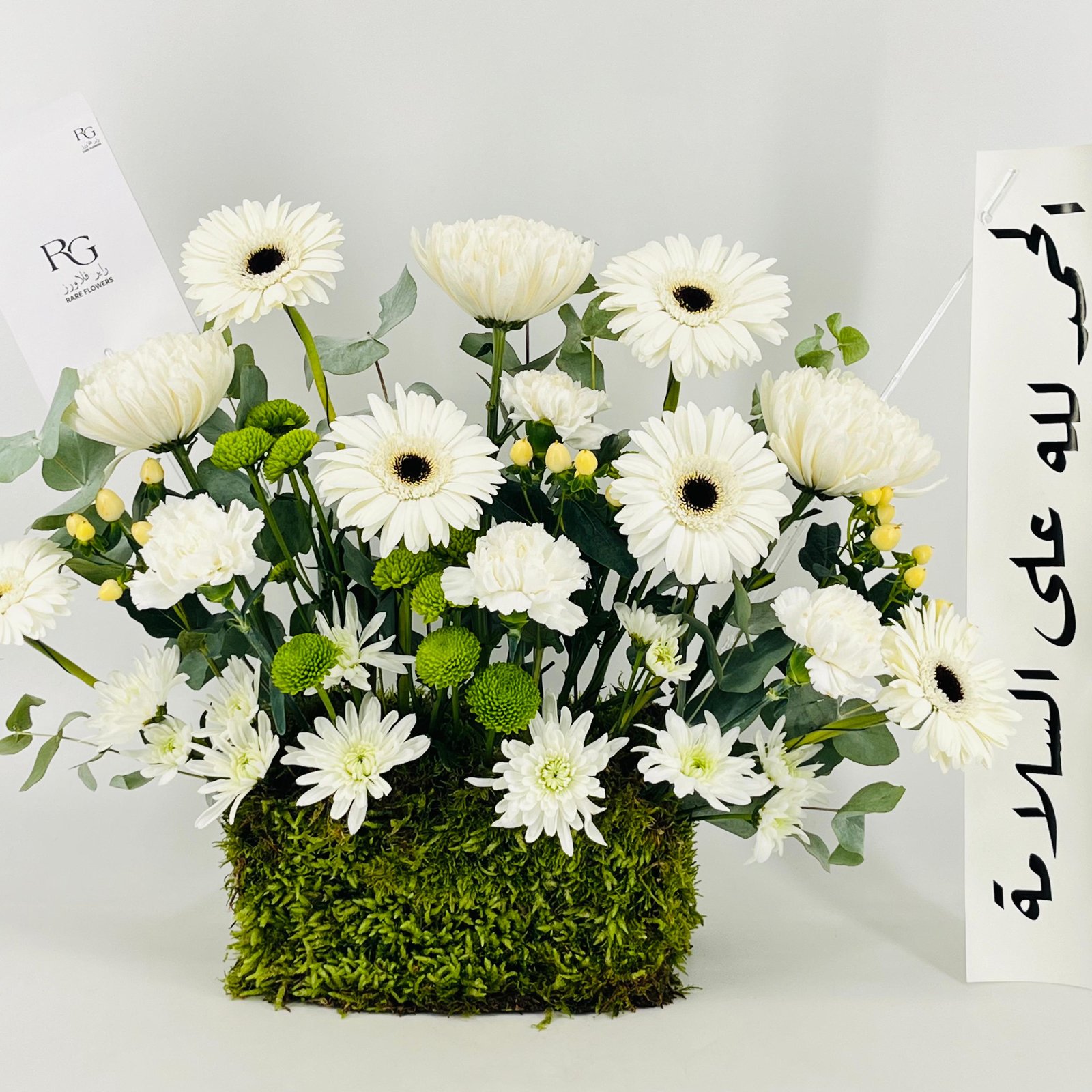 13332 - صورة 2
