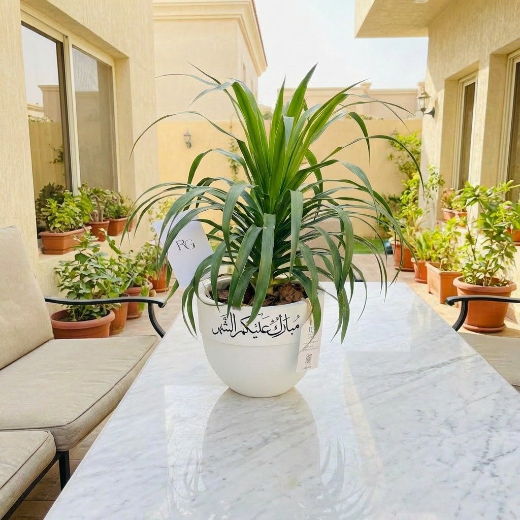 26237 - صورة 1