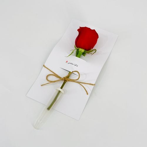 9842 - صورة 1